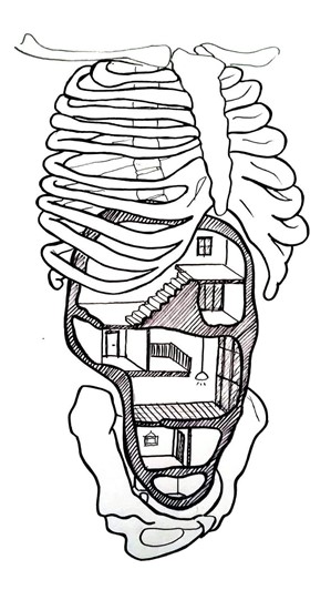 PSOAS Muscles for Breathing